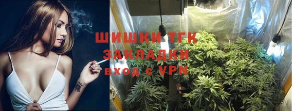 твердый Бронницы