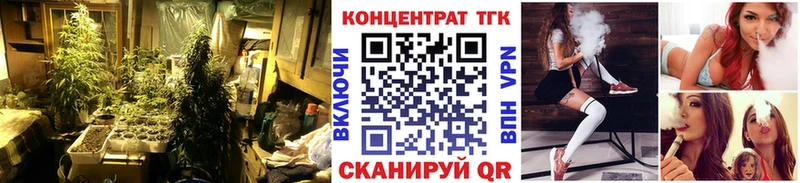 ТГК Wax  Бутурлиновка 