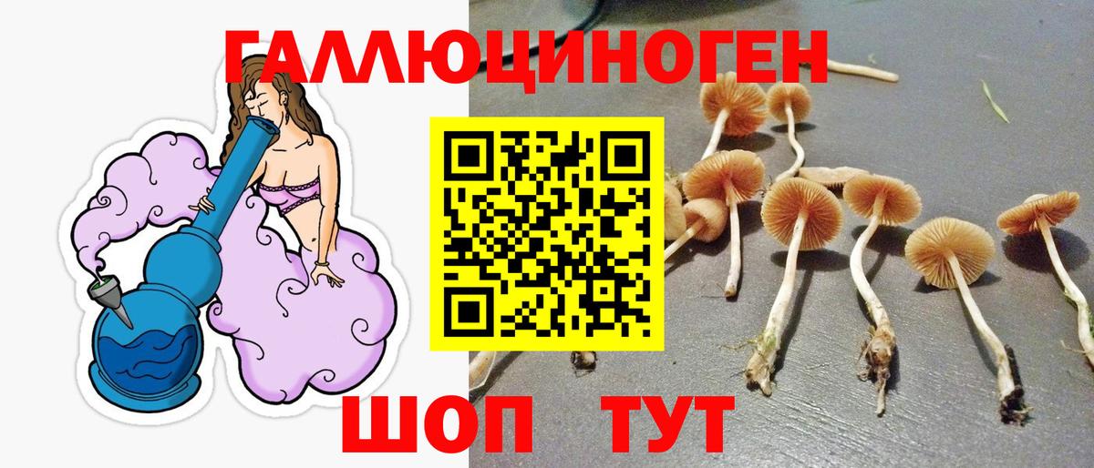 Псилоцибиновые грибы Cubensis Бутурлиновка