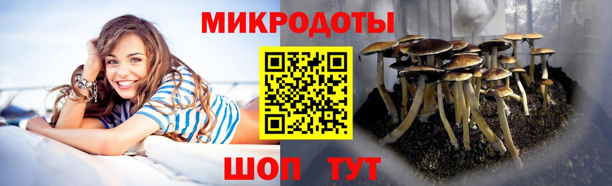 Галлюциногенные грибы мицелий  Вход с VPN  Бутурлиновка  Галлюциногенные грибы мицелий 